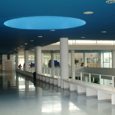 Proyectos